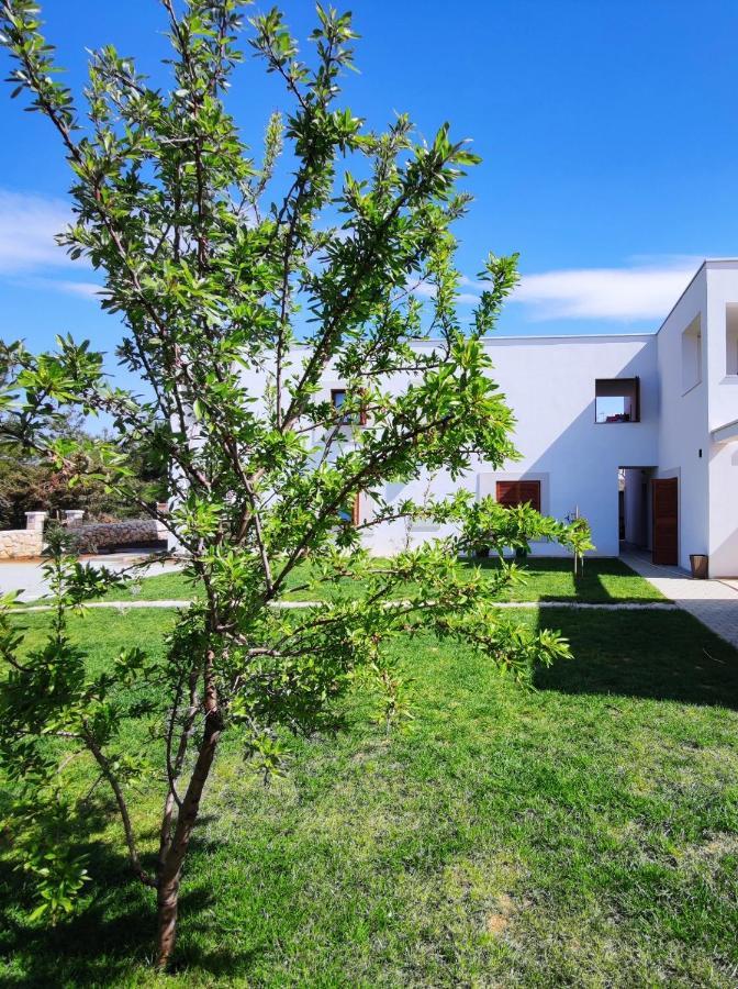 Apartments Leticia Vrsi Ngoại thất bức ảnh