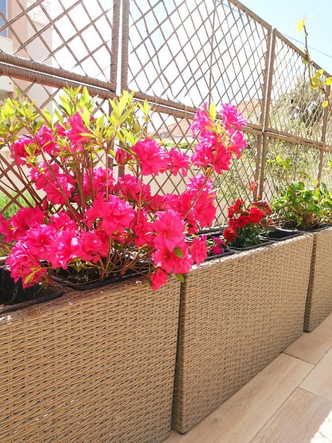 Apartments Leticia Vrsi Ngoại thất bức ảnh